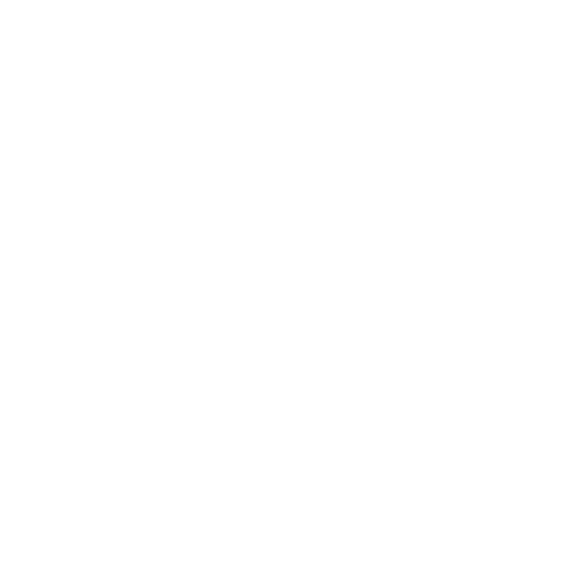 loan-management-icon-white