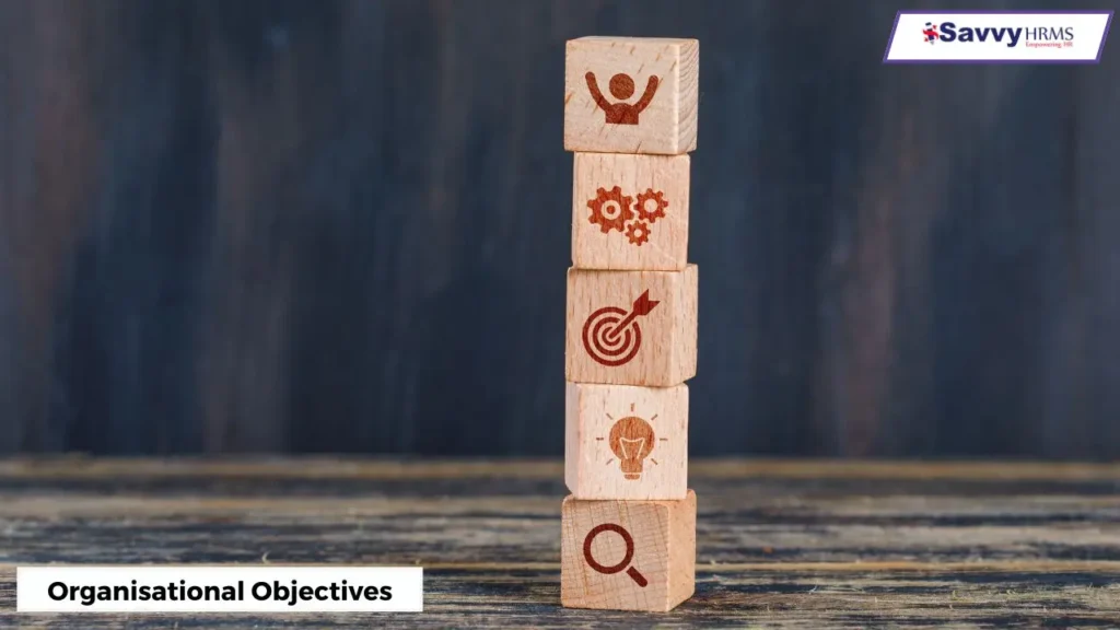 organisational-objectives-jeeshan.
