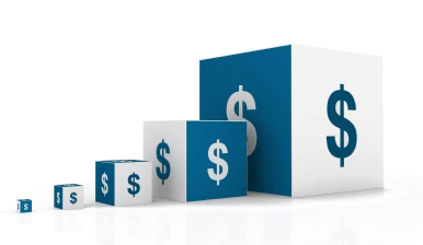 Pricing image in savvyhrms