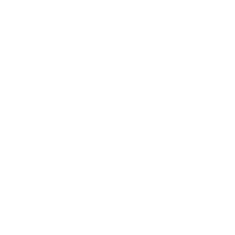 project-timesheet-icon-white