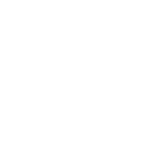 Somic automotive manufacturing company using Savvy HRMS HRMS software