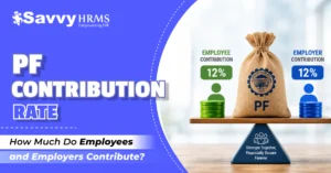 PF Contribution Rate: How Much Do Employees and Employers Contribute?